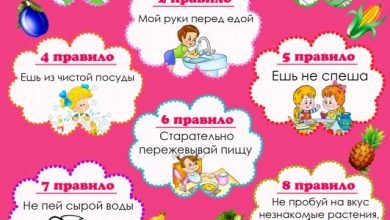 Photo of Питание для умственного развития детей