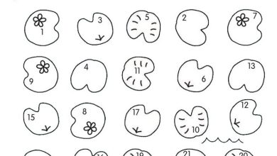 Photo of Творческие задания для детей