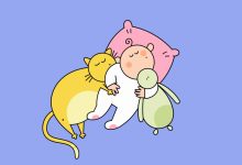 Photo of Мифы о детском сне