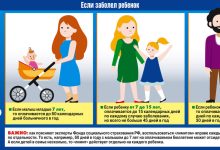 Photo of Основные правила ухода за детьми