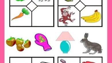 Photo of Игры на развитие внимания