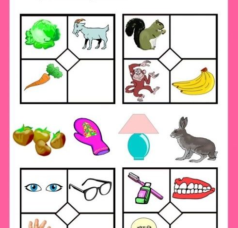 Photo of Игры на развитие внимания