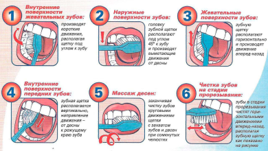 Photo of Как правильно чистить зубы