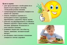 Photo of Важность режима питания для детей