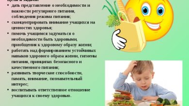 Photo of Важность режима питания для детей